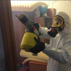 Уничтожение клопов в квартире. Багратионовская